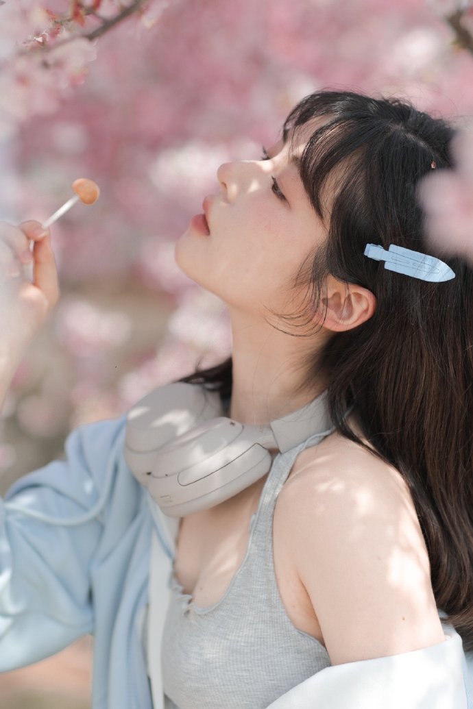 小森林 夏秋篇